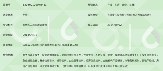 深圳利信快捷金融服務有限公司玉溪分公司創業信息咨詢業務解析